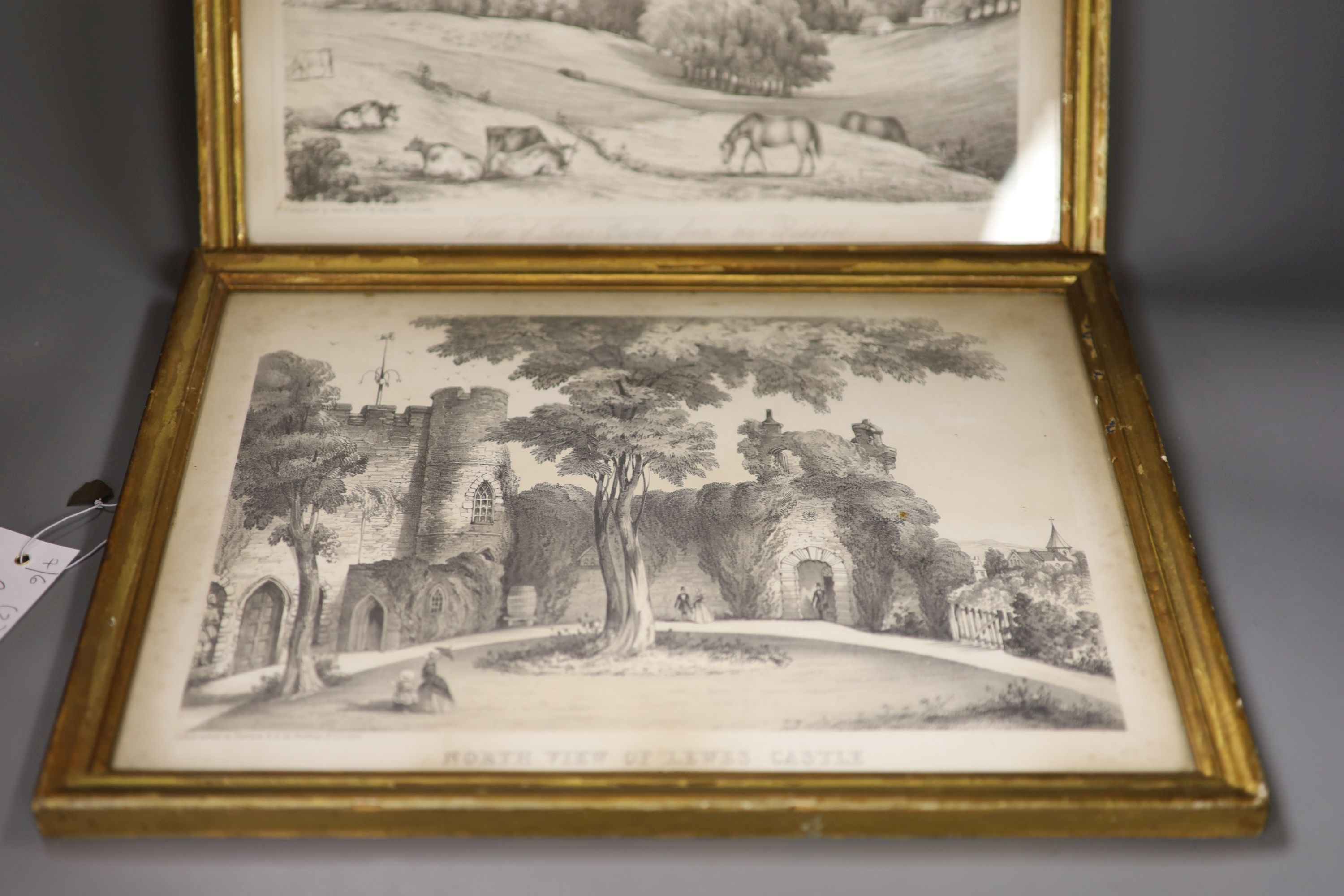 W. Watson (19th C.), two lithographs, North View of Lewes Castle and Lewes Castle from the Paddock, 25 x 36cm